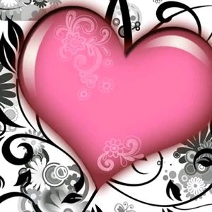 Meet your Posher, Freddy